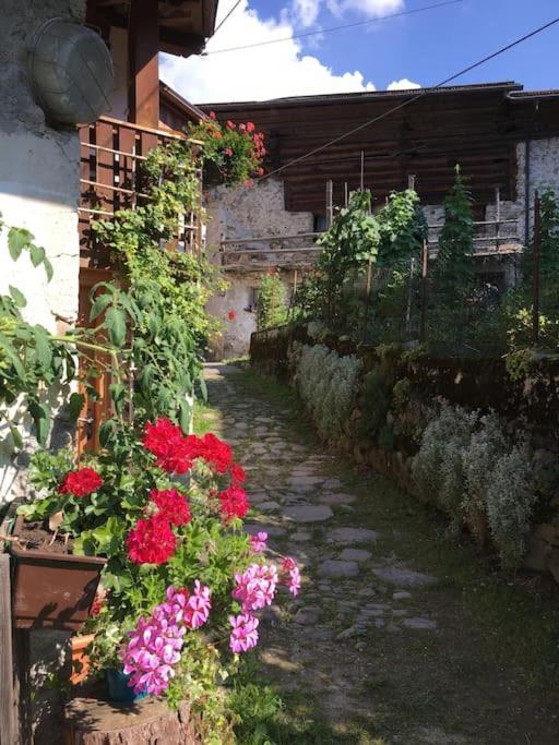 Casa Bernard Zortea Vanoi Cuore Verde Del Trentino Canal San Bovo Exterior photo